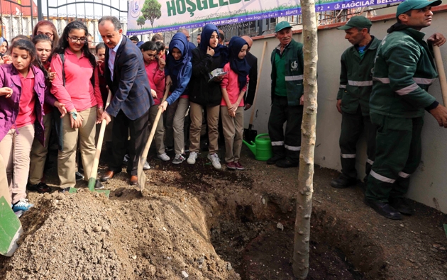  Bağcılar, tarihi olaylara canlı tanıklık etmiş çınar ağaçları ile donatılıyor… 