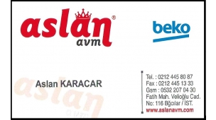 Aslan AVM