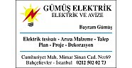 Gümüş Elektik