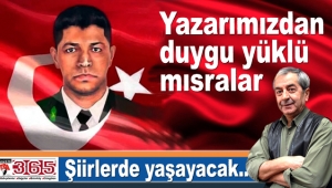 Kahraman şehit Ömer Halisdemir şiirlerde yaşayacak