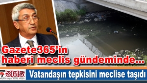 Hasan Tapan Gazete365’in haberini meclise önerge olarak sundu 