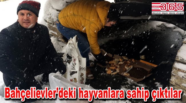 CHP’liler sokak hayvanlarını unutmadı...