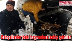 CHP’liler sokak hayvanlarını unutmadı...