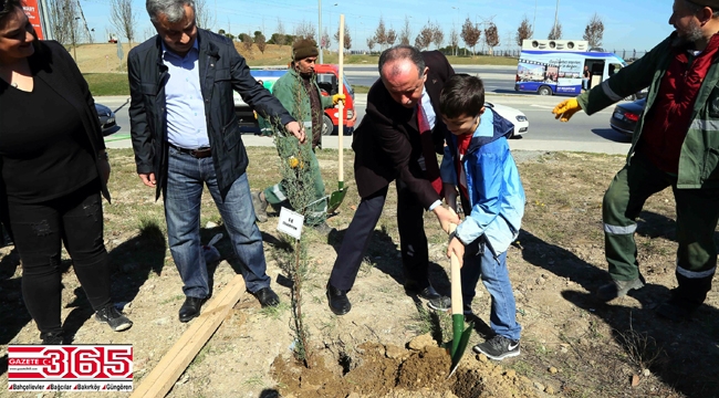 Bağcılar'da bahar seferberliği: 2500 ağaç, 1 milyon çiçek…