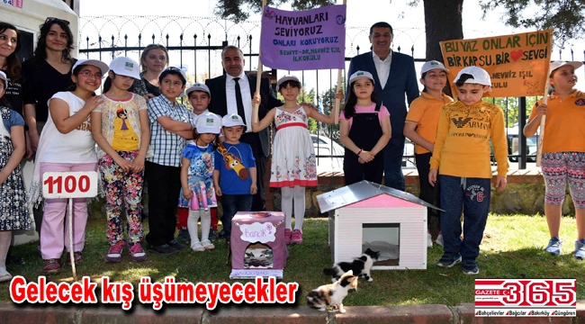 Minik öğrenciler sokak kedileri için ev yaptı, belediyeye teslim etti