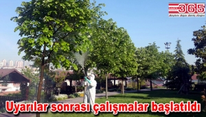 Bağcılar'da aşırı neme karşı "Yeşil önlem" alındı