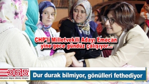 Emine Gülizar Emecan bölgede çalmadık kapı bırakmıyor