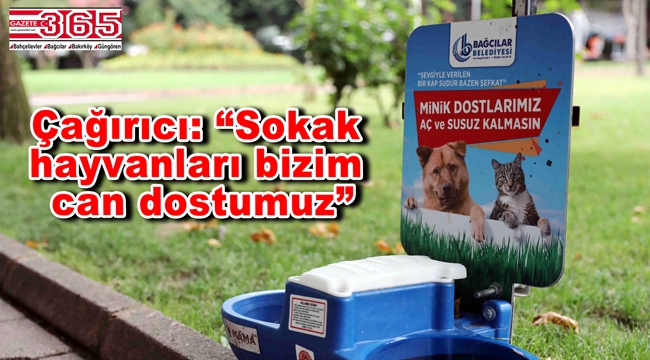 Bağcılar'daki parklarda sokak hayvanlarına su ve mama hizmeti...