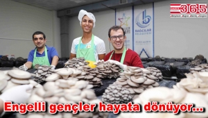 Mantarla hem tedavi oluyor hem de meslek sahibi oluyorlar