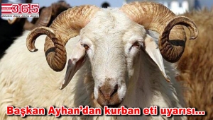 Ayhan: 