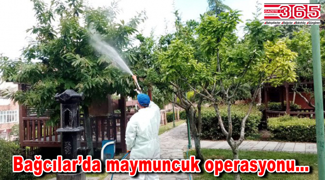 Bağcılar Belediyesi’nden maymuncuk operasyonu