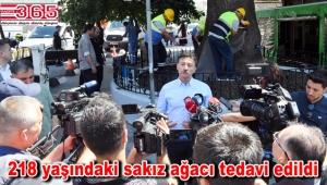 Bahçelievler'deki iki asırlık ağaç kurtarıldı