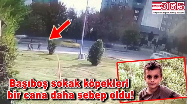 Bakırköy'de köpeklerden kaçarken otomobil çarpan 10 yaşındaki çocuk öldü
