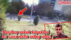 Bakırköy'de köpeklerden kaçarken otomobil çarpan 10 yaşındaki çocuk öldü