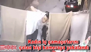 Bağcılar'da sapık hırsız paniği!