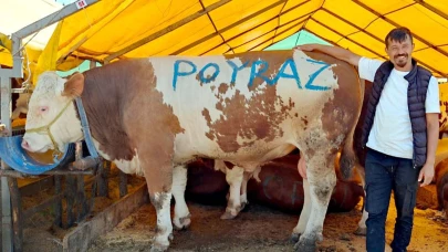 Bahçelievler'de 1 ton 250 kiloluk ‘Poyraz’ alıcısını buldu!
