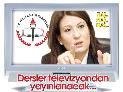 Milli Eğitim Bakanlığı'ndan domuz gribi önlemi
