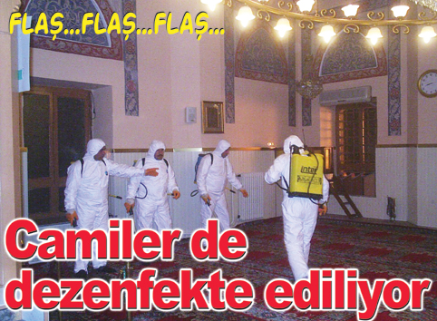 Bakırköy Belediyesi'nden domuz gribine önlem