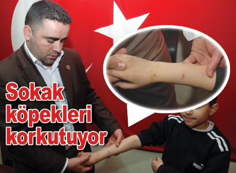 Şirinevler Mahallesi Muhtarı Galip Karayiğit: Uyarmıştık