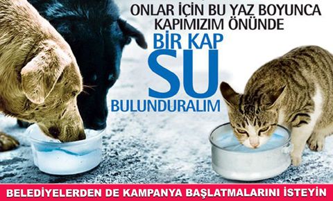 Kapınızın önüne bir kap su koyun…