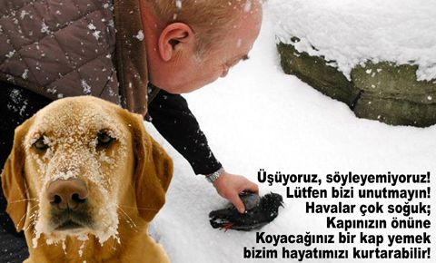 Yirmi bin saç teli ile dünya rekoru