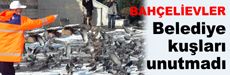 Belediye kuşları unutmadı