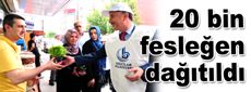 20 bin fesleğen dağıtıldı