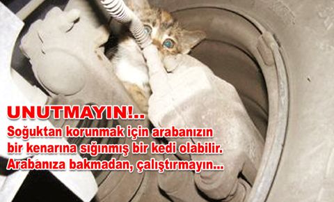 Üşüyorlar, acıkıyorlar ama söyleyemiyorlar!