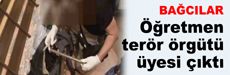 Öğretmen terör örgütü üyesi çıktı!..