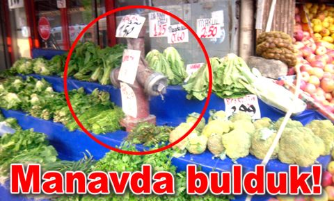 Komik, bir o kadar da düşündürücü