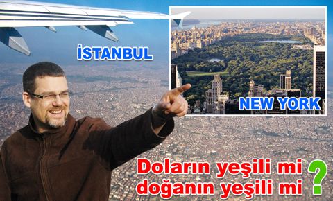 Doların yeşili mi, doğanın yeşili mi?