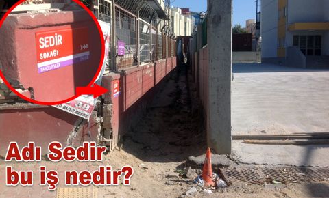 Kedi geçer, köpek geçemez…
