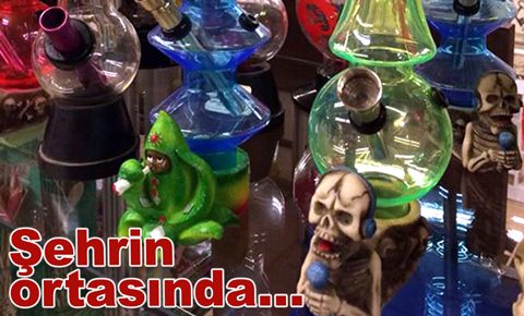 Bakırköy&#039;ün ortasında bonzai şişesi