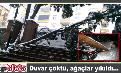 Duvar çöktü, ağaçlar yıkıldı