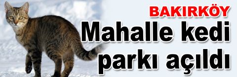 Yeşilköy’de mahalle kedi parkı açıldı