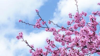 İkinci Cemre Suya Düştü: Baharın Habercisi