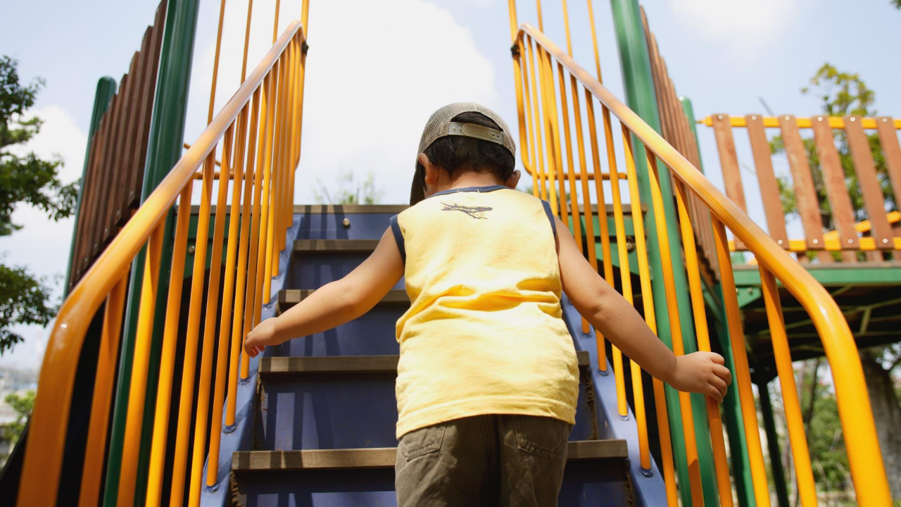 3-6 yaş için duygusal Regülasyon başarının anahtarı