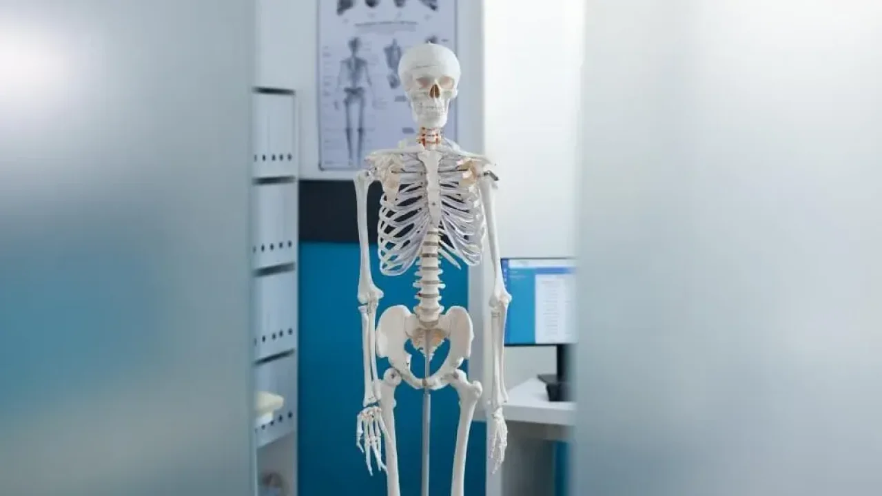 İklim krizi kemik sağlığını da tehdit ediyor