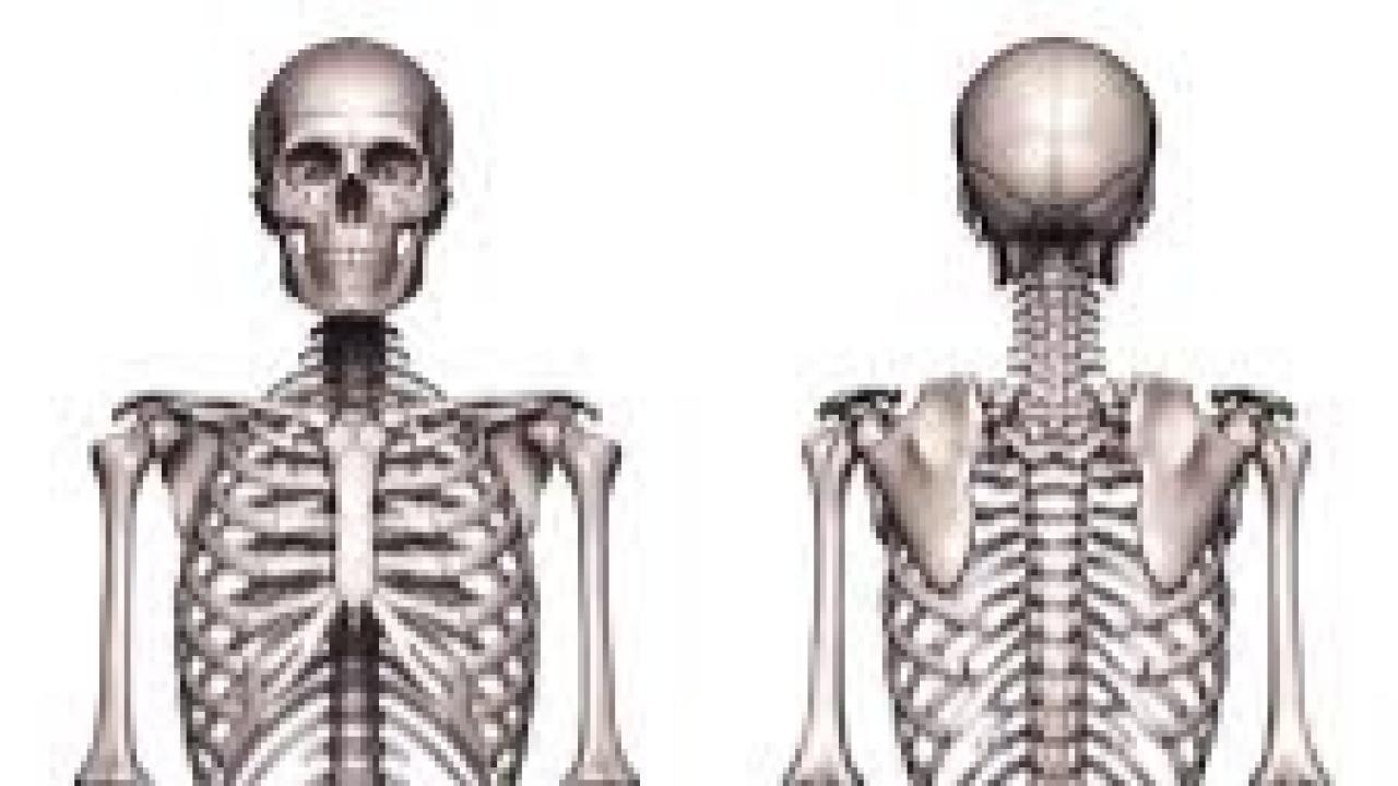 İklim krizi kemik sağlığını da tehdit ediyor