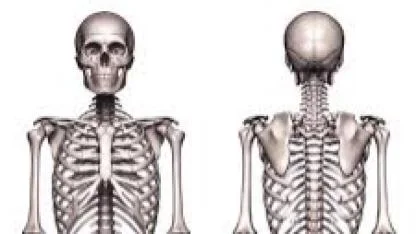 İklim krizi kemik sağlığını da tehdit ediyor