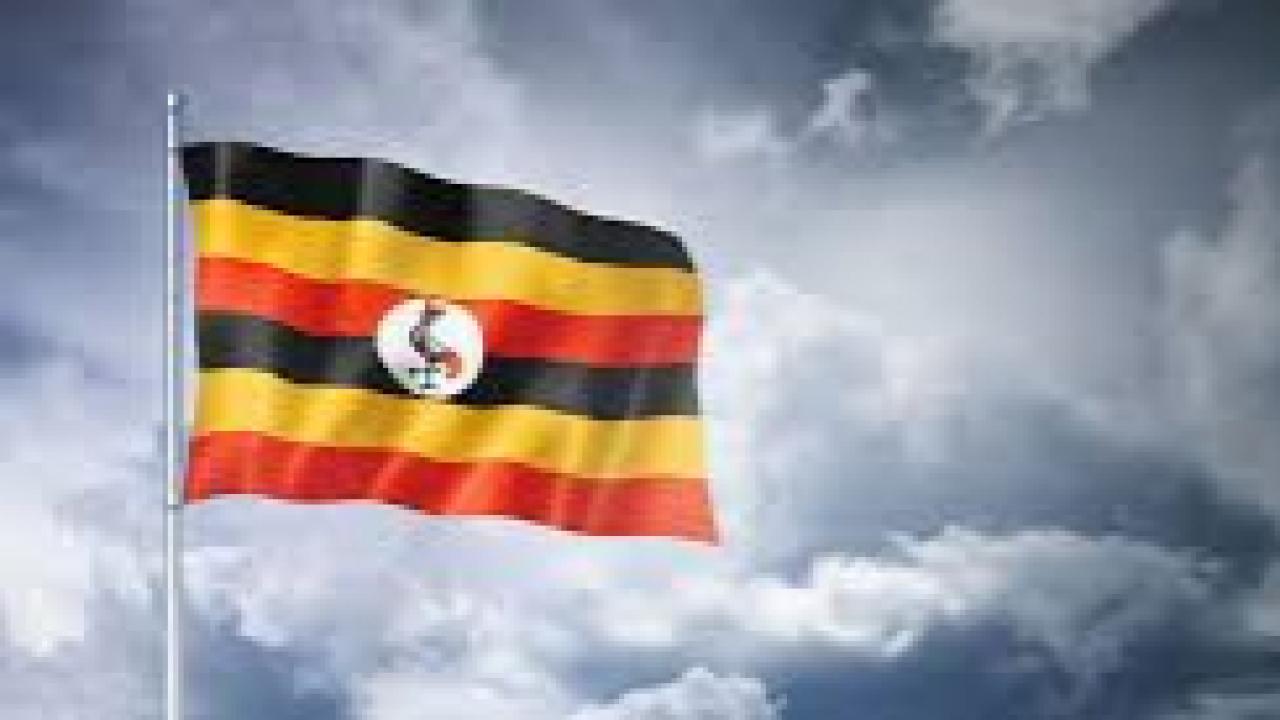 Uganda ekonomisinde ihracat patlaması: Ocak ayında %77 artış