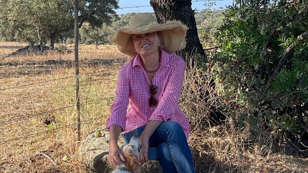 Ceviz üretiminde yeni rehber: Modern yetiştiricilik