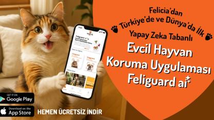 Feliguard AI’ya Uluslararası Ödül