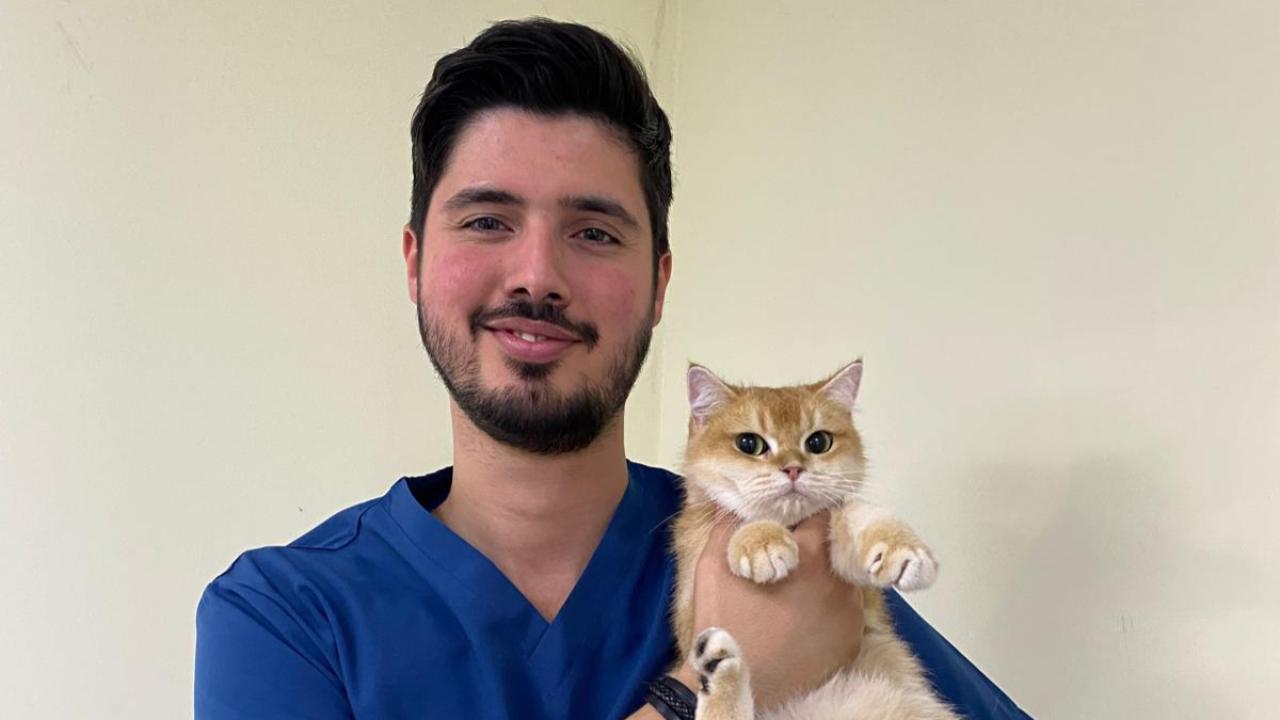 Hayvan sahiplenme rehberi: Sevgi mi sorumluluk mu?