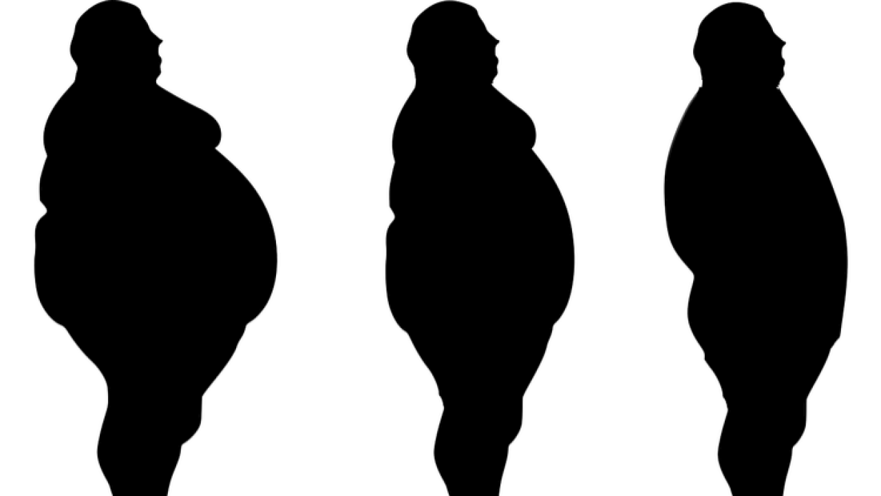 Türkiye’de obezite alarmı: 2035’te nüfusun yarısı riskte