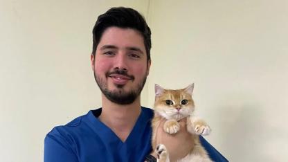 1 mayıs'ta veteriner hekimlerin "tek sağlık" mücadelesi
