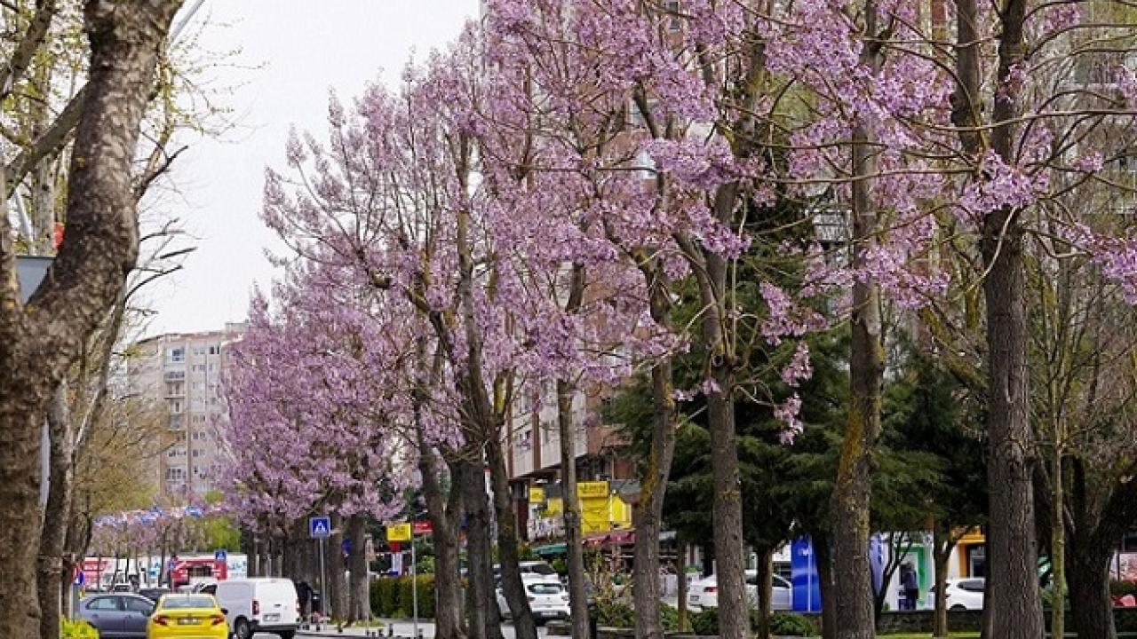 Beylikdüzün’de bahar mesaisi